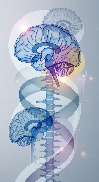 
Neurocirugía y columna avanzada