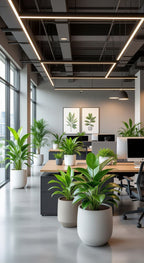 8400_01_plantas-y-macetas-online