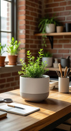 8400_05_plantas-y-macetas-online