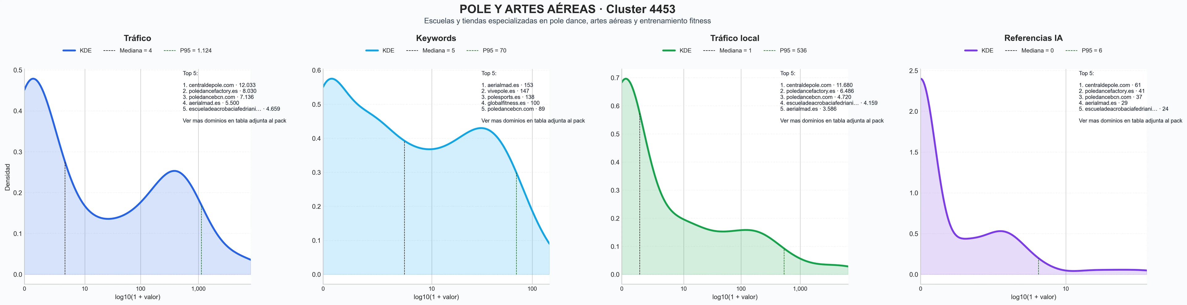cuota de mercado digital clases de pole dance, clases de aerial fitness, clases aerial hoop