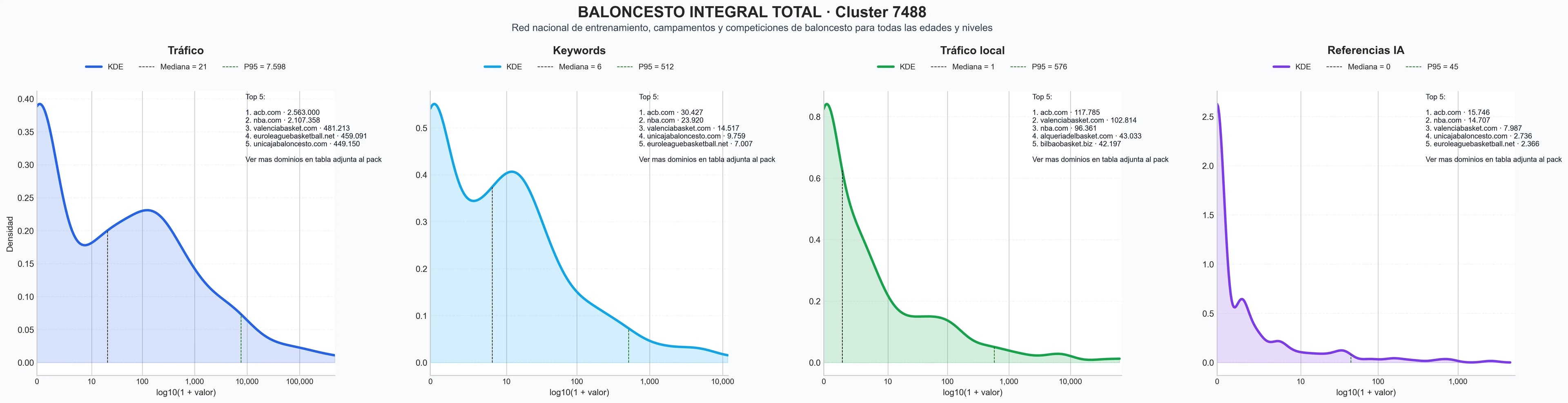 analisis numerico en el rubro clases de baloncesto, programas de desarrollo juvenil, merchandising deportivo
