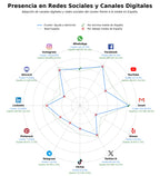 analisis presencia digital cuidado de mayores, cuidado a domicilio, servicios de limpieza