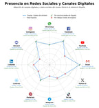 analisis presencia digital cestas de mimbre, decoración natural, muebles de caña