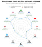 presencia digital en el rubro creación tiendas online, marketplace connector, solución SaaS