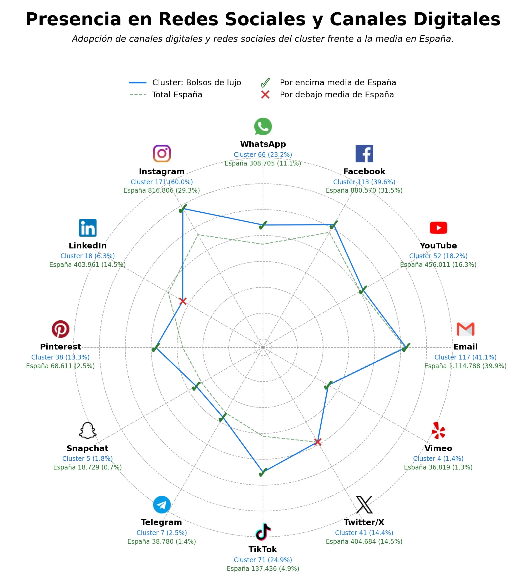 penetracion de redes sociales del sector accesorios de moda, lujo accesible, calzado premium
