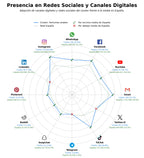 competencia en redes sociales de nicho perfumes de diseñador, aceites aromáticos, aceites de oud