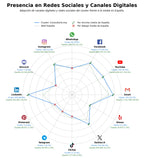 presencia digital en el rubro consultoría ERP, analítica de datos, ciberseguridad empresarial