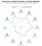 analisis de presencia en redes diseño gráfico, branding e identidad, diseño de personajes