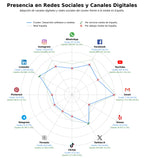 presencia digital en el rubro desarrollo software a medida, consultoría IT, desarrollo web