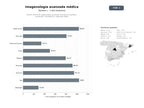 bases de datos del sector Red de centros de imagenología avanzada: resonancia magnética, tomografía, mamografía y radiología digital