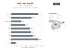 bases de datos del sector Servicios profesionales de poda, tala y mantenimiento forestal para arbolado urbano y rural, incluyendo desbroces y venta de leña