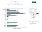 estudios de palabras clave, trafico web y datos de redes cosiales de Escuelas y centros de enseñanza de esquí y snowboard con alquiler de material y organización de viajes de nieve