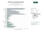 estudios de palabras clave, trafico web y datos de redes cosiales de Red de técnicos especializados en reparación, instalación y mantenimiento de calderas de gas, gasoil y biomasa, y aerotermia residencial