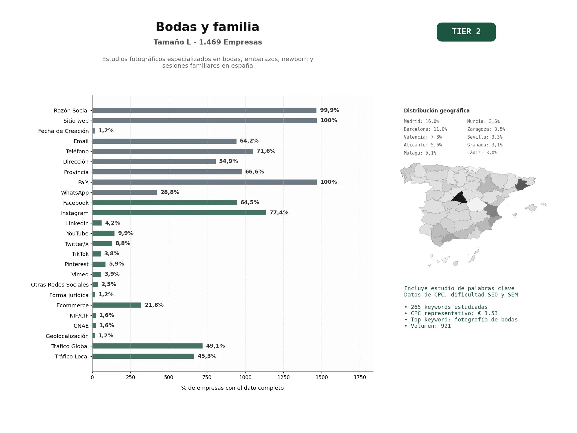 estudios de palabras clave, trafico web y datos de redes cosiales de Estudios fotográficos especializados en bodas, embarazos, newborn y sesiones familiares en España