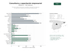 estudios de palabras clave, trafico web y datos de redes cosiales de Consultoría integral empresarial y estratégica combinada con programas de capacitación y optimización de procesos organizacionales