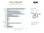 estudios de palabras clave, trafico web y datos de redes cosiales de Empresas dedicadas a la venta y diseño de ramos, arreglos florales y decoración para bodas, eventos y servicios funerarios