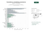 estudios de palabras clave, trafico web y datos de redes cosiales de Consultoría integral de comercio electrónico, desarrollo y optimización de tiendas online, marketing digital y estrategias de crecimiento omnicanal