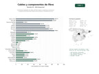 estudios de palabras clave, trafico web y datos de redes cosiales de Proveedores globales de cables de fibra óptica, conectores, accesorios y equipos de prueba para telecomunicaciones e infraestructura ICT