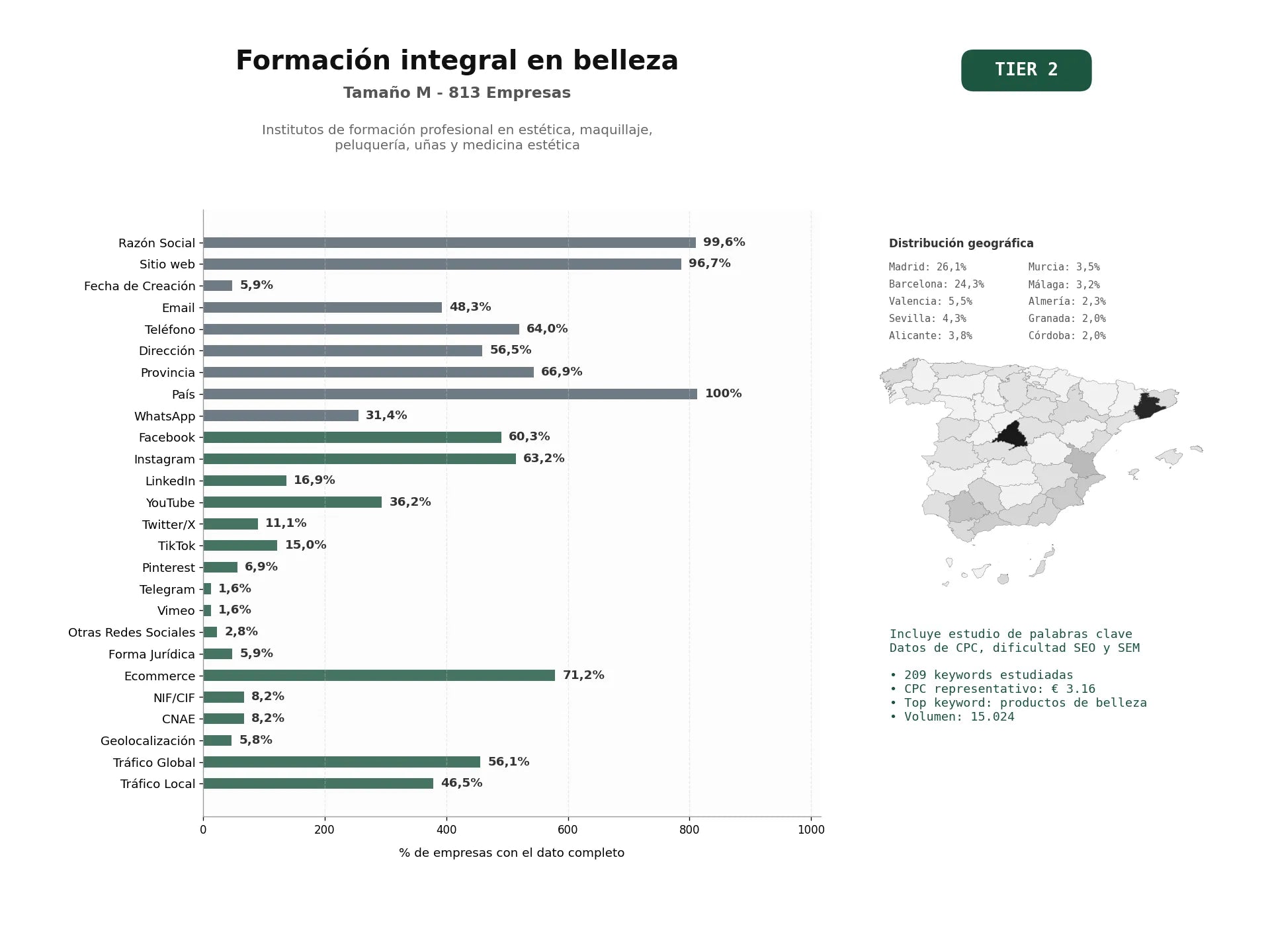 estudios de palabras clave, trafico web y datos de redes cosiales de Institutos de formación profesional en estética, maquillaje, peluquería, uñas y medicina estética