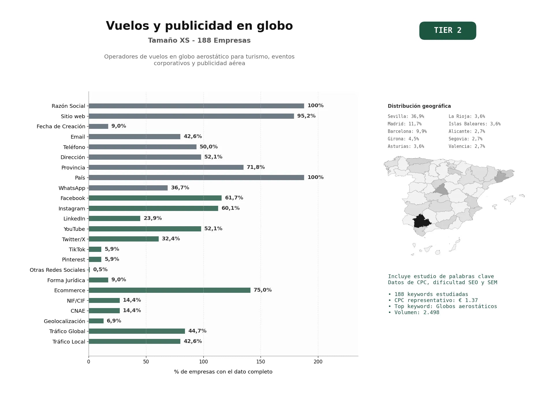 estudios de palabras clave, trafico web y datos de redes cosiales de Operadores de vuelos en globo aerostático para turismo, eventos corporativos y publicidad aérea