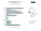 estudios de palabras clave, trafico web y datos de redes cosiales de Restaurantes y tabernas de cocina gallega tradicional, mariscos frescos, menús del día y servicio de catering