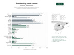 estudios de palabras clave, trafico web y datos de redes cosiales de Servicios integrales de guardería, hotel y peluquería canina con transporte y actividades recreativas para mascotas