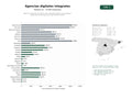 estudios de palabras clave, trafico web y datos de redes cosiales de Agencias integrales de diseño web, desarrollo digital, SEO, branding y producción audiovisual para todo tipo de sectores