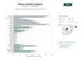 estudios de palabras clave, trafico web y datos de redes cosiales de Distribuidores y fabricantes de instrumentos ópticos para astronomía y biología, así como telescopios, microscopios, prismáticos y lupas