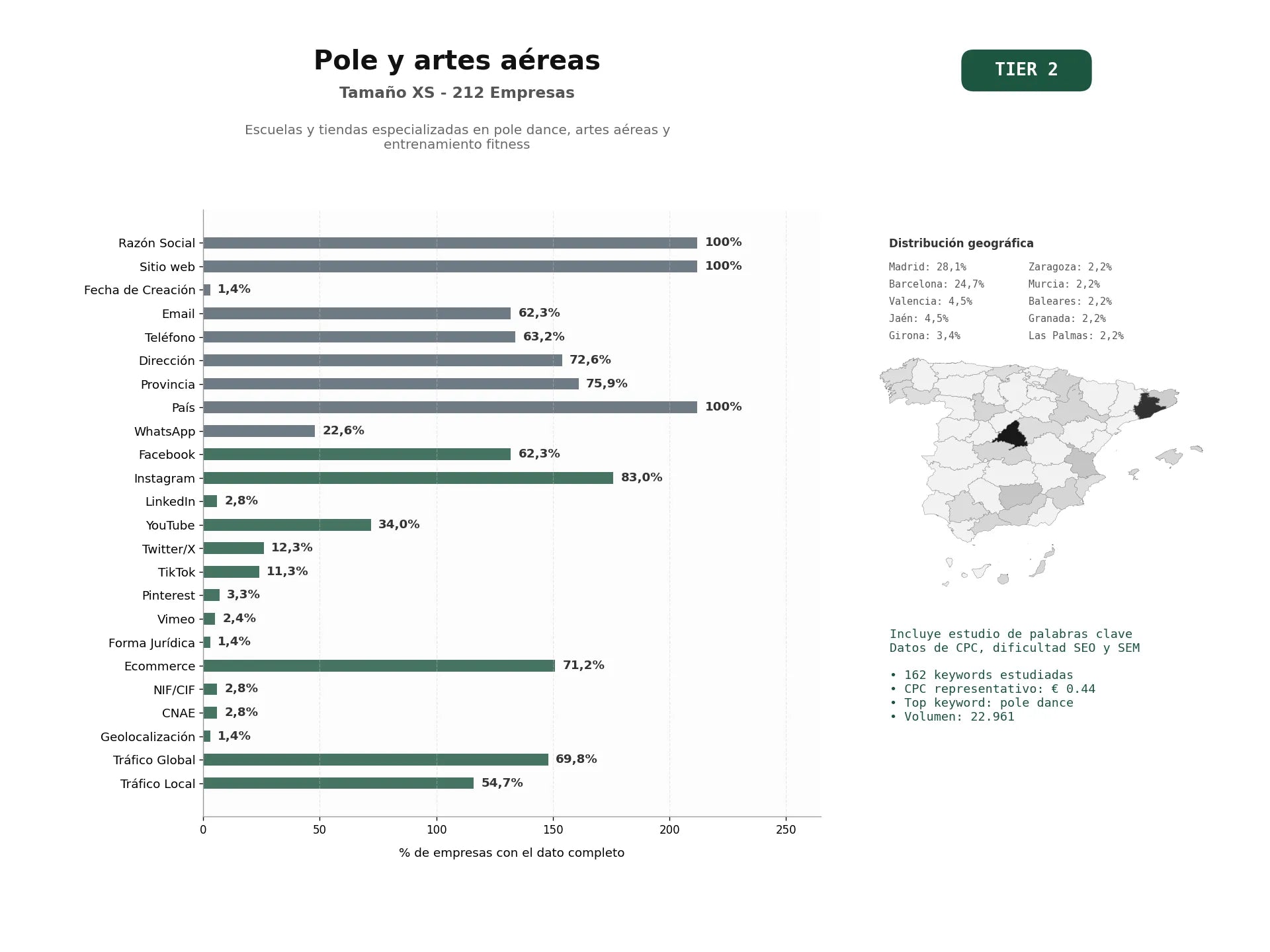 estudios de palabras clave, trafico web y datos de redes cosiales de Escuelas y tiendas especializadas en pole dance, artes aéreas y entrenamiento fitness