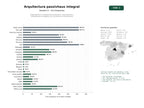 estudios de palabras clave, trafico web y datos de redes cosiales de Especialistas en arquitectura Passivhaus, casas pasivas y rehabilitación energética con certificación internacional