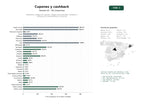 estudios de palabras clave, trafico web y datos de redes cosiales de Plataforma integral de cupones, códigos promocionales, cashback y sorteos para consumidores y comercios