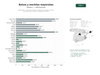 estudios de palabras clave, trafico web y datos de redes cosiales de Fabricantes y mayoristas de bolsos, mochilas y accesorios de moda, incluyendo cuero, vegano y materiales reciclados