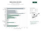 estudios de palabras clave, trafico web y datos de redes cosiales de Red de apoyo integral, información y eventos solidarios para pacientes y familiares de cáncer de mama
