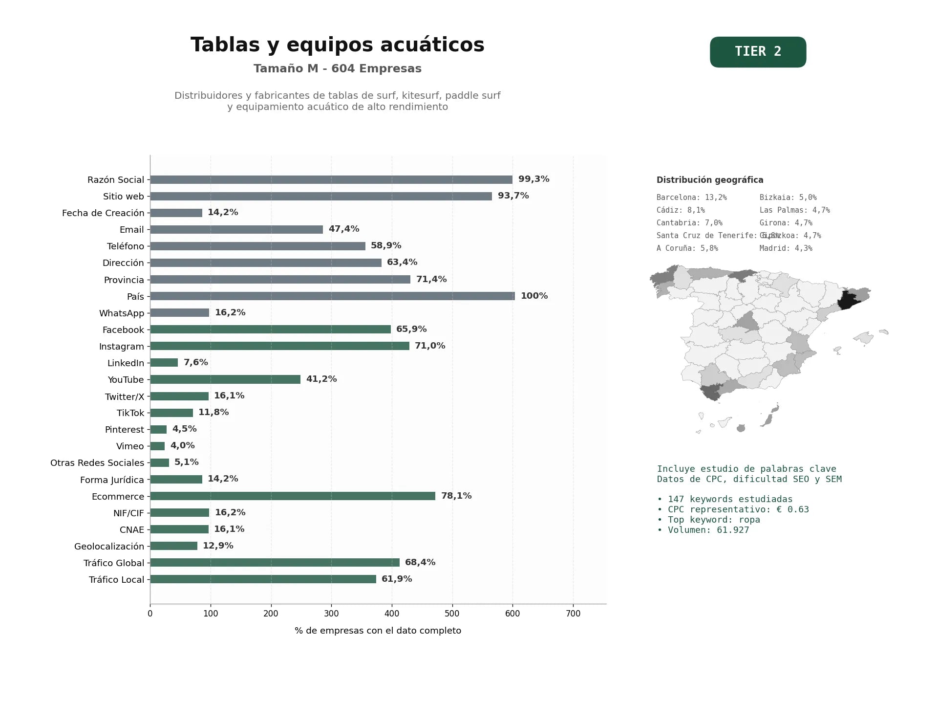 estudios de palabras clave, trafico web y datos de redes cosiales de Distribuidores y fabricantes de tablas de surf, kitesurf, paddle surf y equipamiento acuático de alto rendimiento
