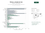 estudios de palabras clave, trafico web y datos de redes cosiales de Comercio online de bolsos y calzado de lujo, réplicas y segunda mano, con accesorios de moda premium