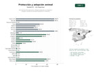 estudios de palabras clave, trafico web y datos de redes cosiales de Red nacional de protectoras y refugios dedicados a la adopción, acogida y rescate de animales domésticos y silvestres