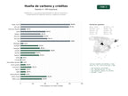 estudios de palabras clave, trafico web y datos de redes cosiales de Plataformas y consultoras especializadas en cálculo, reducción y compensación de huella de carbono y créditos de carbono