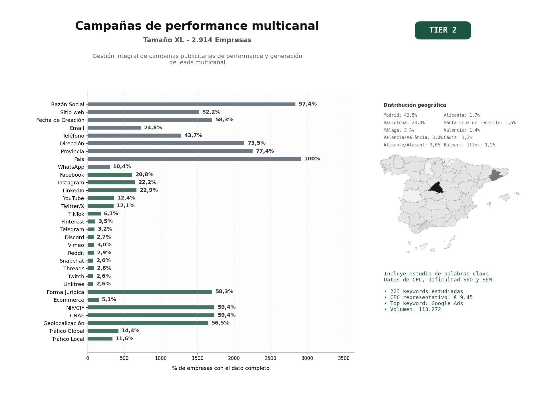 estudios de palabras clave, trafico web y datos de redes cosiales de Gestión integral de campañas publicitarias de performance y generación de leads multicanal