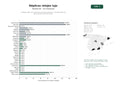 estudios de palabras clave, trafico web y datos de redes cosiales de Catálogo digital de imitaciones de relojes premium y complementos de alta precisión para entusiastas