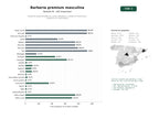 estudios de palabras clave, trafico web y datos de redes cosiales de Barberías especializadas en cortes, afeitados y cuidado de barba para caballeros en toda España
