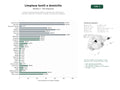estudios de palabras clave, trafico web y datos de redes cosiales de Servicios profesionales de limpieza y desinfección a domicilio de alfombras, tapicerías, colchones y muebles con productos ecológicos