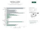 estudios de palabras clave, trafico web y datos de redes cosiales de Empresas dedicadas a la producción y comercialización de flores, aceites y cosmética a base de cannabidiol (CBD)