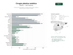 estudios de palabras clave, trafico web y datos de redes cosiales de Clínicas de cirugía plástica y medicina estética facial, corporal y reconstructiva en América y España