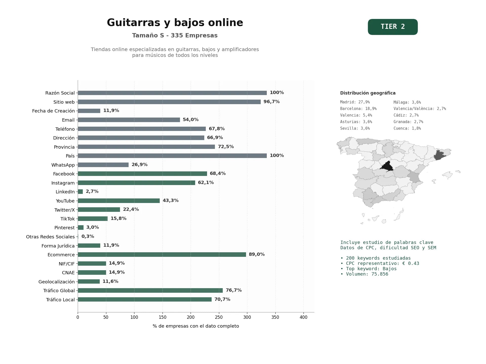 estudios de palabras clave, trafico web y datos de redes cosiales de Tiendas online especializadas en guitarras, bajos y amplificadores para músicos de todos los niveles