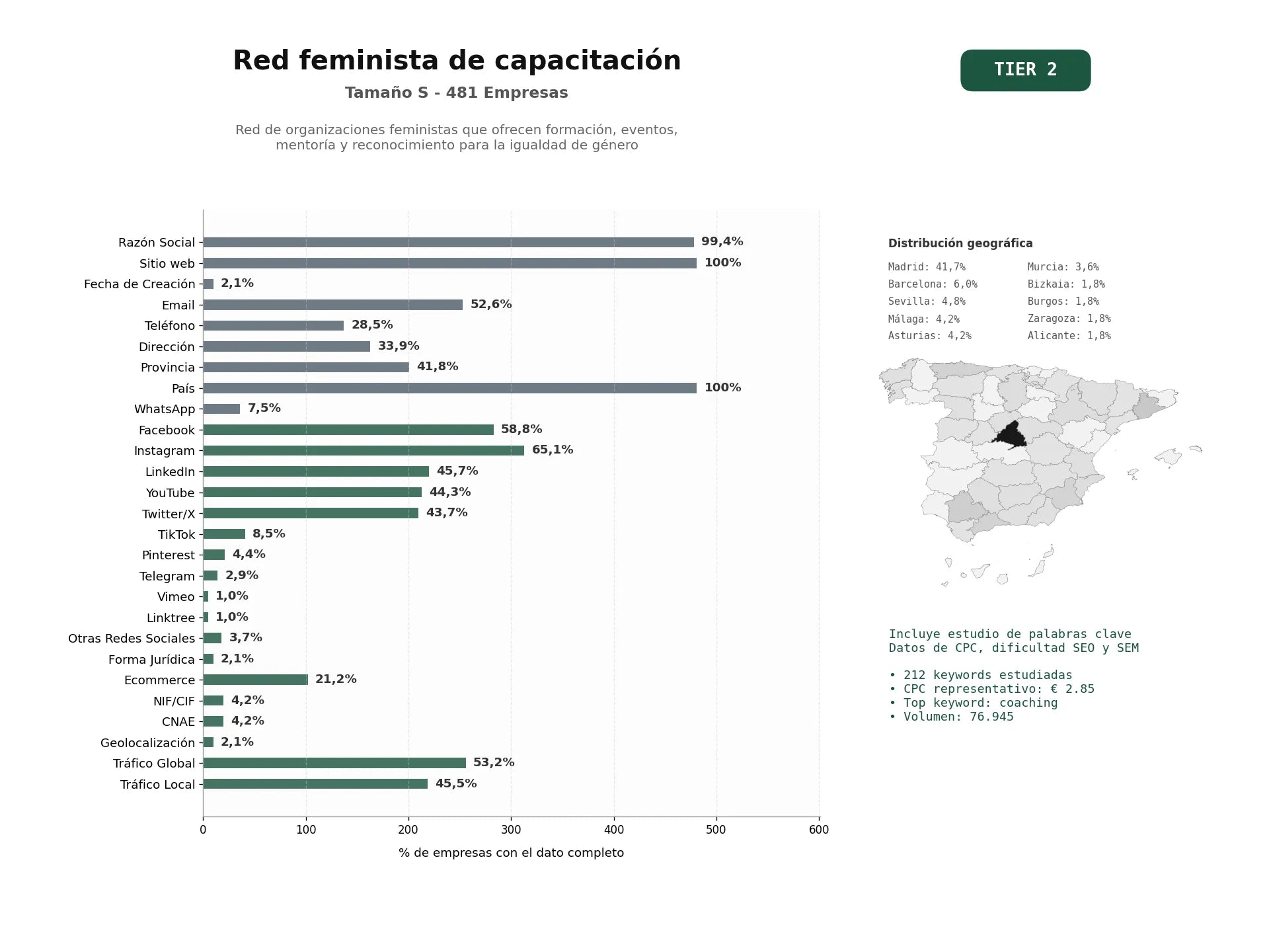 estudios de palabras clave, trafico web y datos de redes cosiales de Red de organizaciones feministas que ofrecen formación, eventos, mentoría y reconocimiento para la igualdad de género