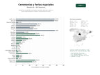 estudios de palabras clave, trafico web y datos de redes cosiales de Plataforma integral de ceremonias nupciales, oficiantes, talleres y ferias especializadas en bodas y renovaciones de votos