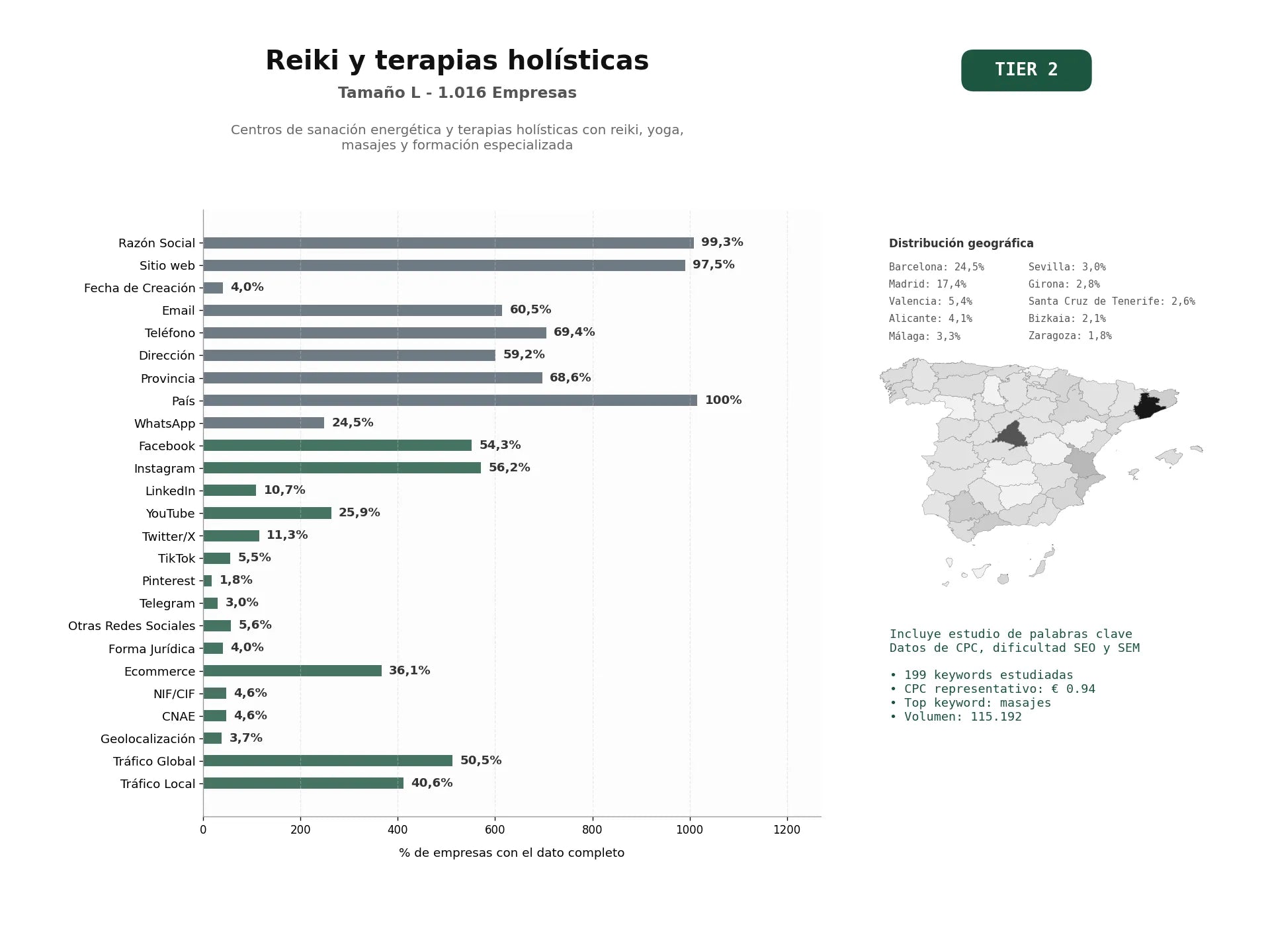 estudios de palabras clave, trafico web y datos de redes cosiales de Centros de sanación energética y terapias holísticas con Reiki, yoga, masajes y formación especializada