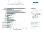 estudios de mercado y posicionamiento en chats de inteligencia artificial de Proveedores integrales de grupos electrógenos, generación eléctrica portátil y torres de iluminación, venta, alquiler y mantenimiento