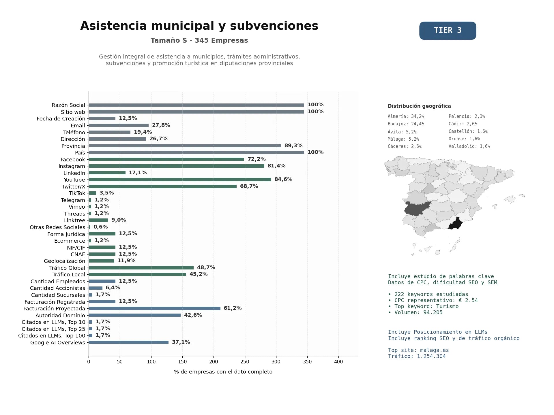 estudios de mercado y posicionamiento en chats de inteligencia artificial de Gestión integral de asistencia a municipios, trámites administrativos, subvenciones y promoción turística en diputaciones provinciales