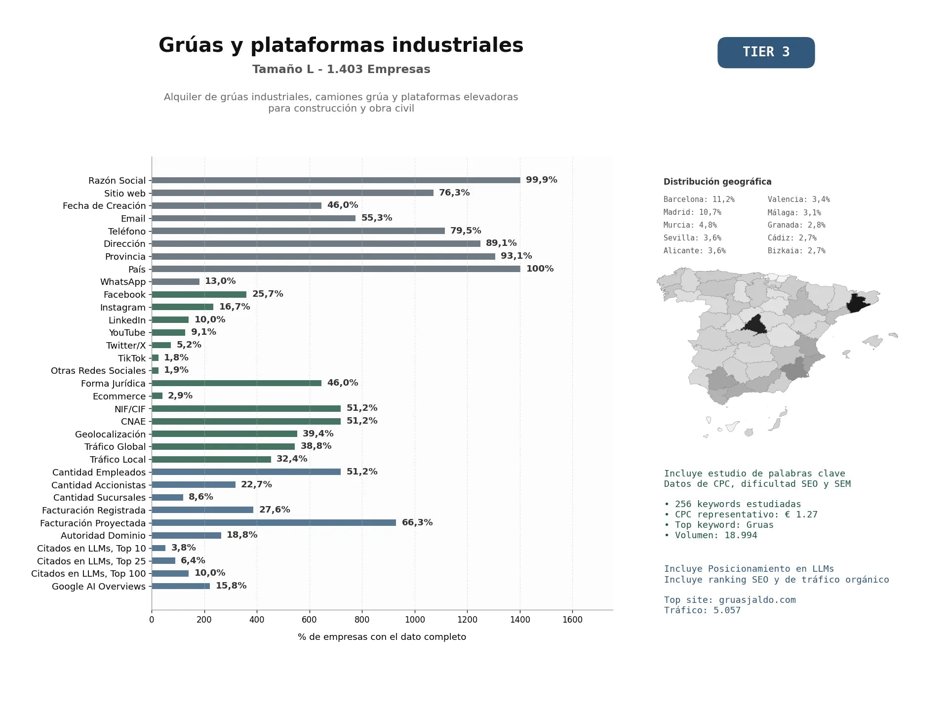 estudios de mercado y posicionamiento en chats de inteligencia artificial de Alquiler de grúas industriales, camiones grúa y plataformas elevadoras para construcción y obra civil